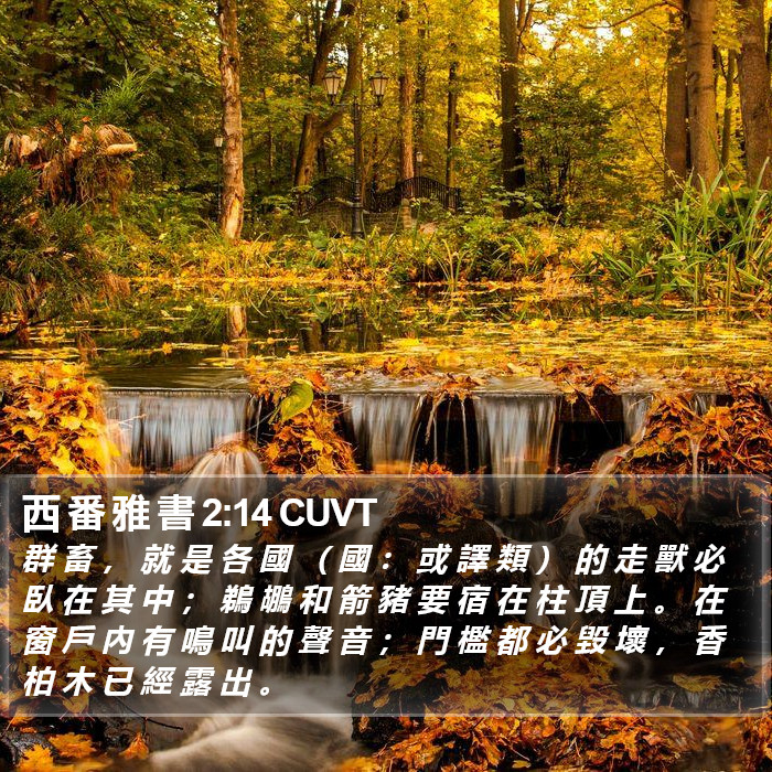 西 番 雅 書 2:14 CUVT Bible Study