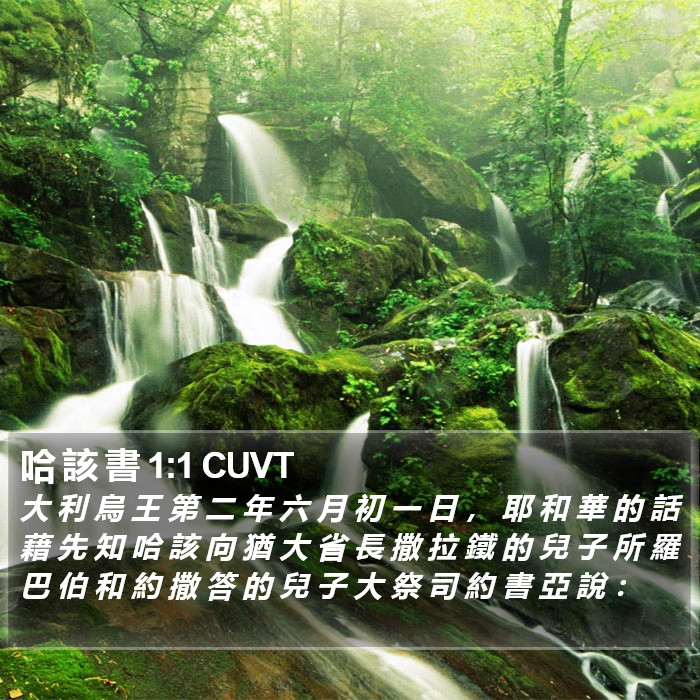 哈 該 書 1:1 CUVT Bible Study