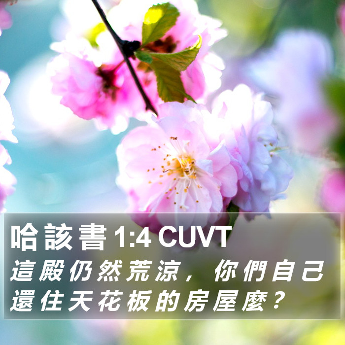 哈 該 書 1:4 CUVT Bible Study