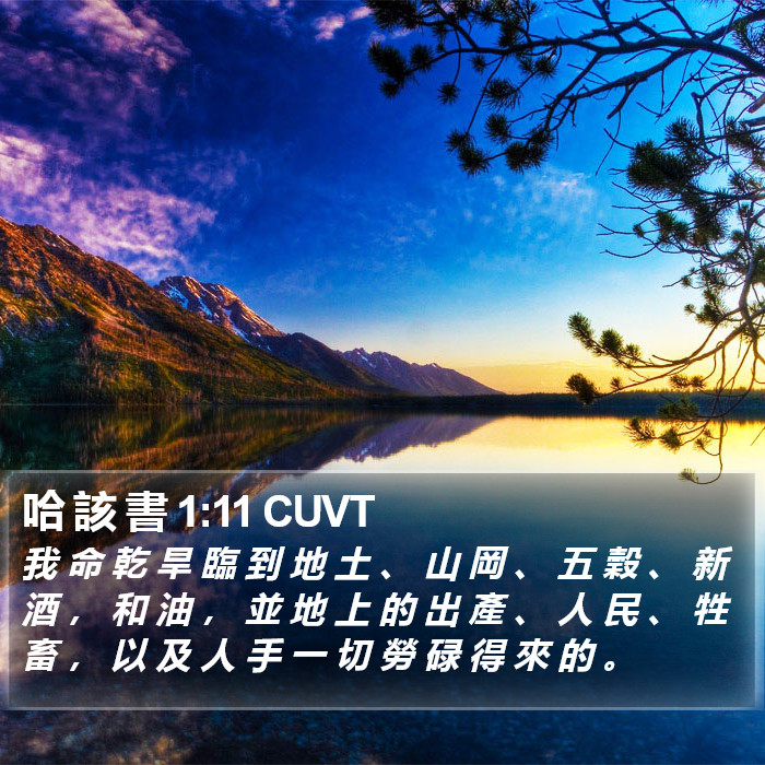 哈 該 書 1:11 CUVT Bible Study