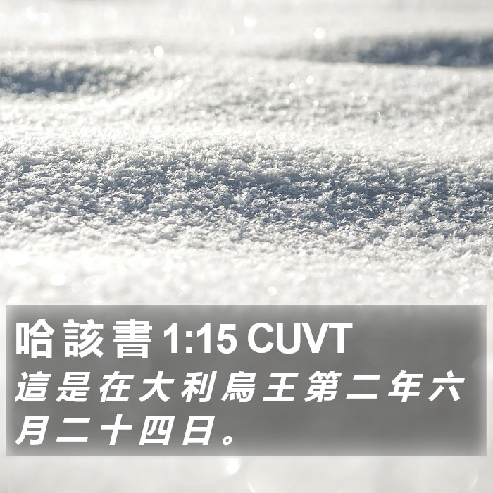 哈 該 書 1:15 CUVT Bible Study