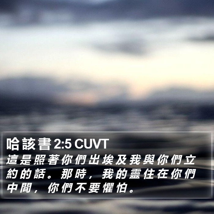 哈 該 書 2:5 CUVT Bible Study