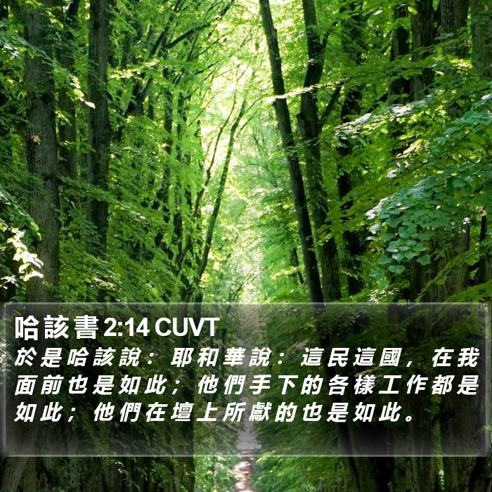 哈 該 書 2:14 CUVT Bible Study