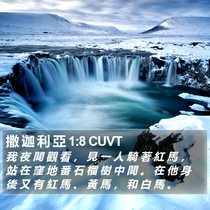 撒 迦 利 亞 1:8 CUVT Bible Study