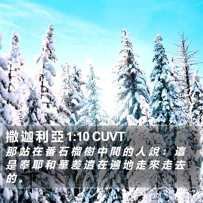 撒 迦 利 亞 1:10 CUVT Bible Study