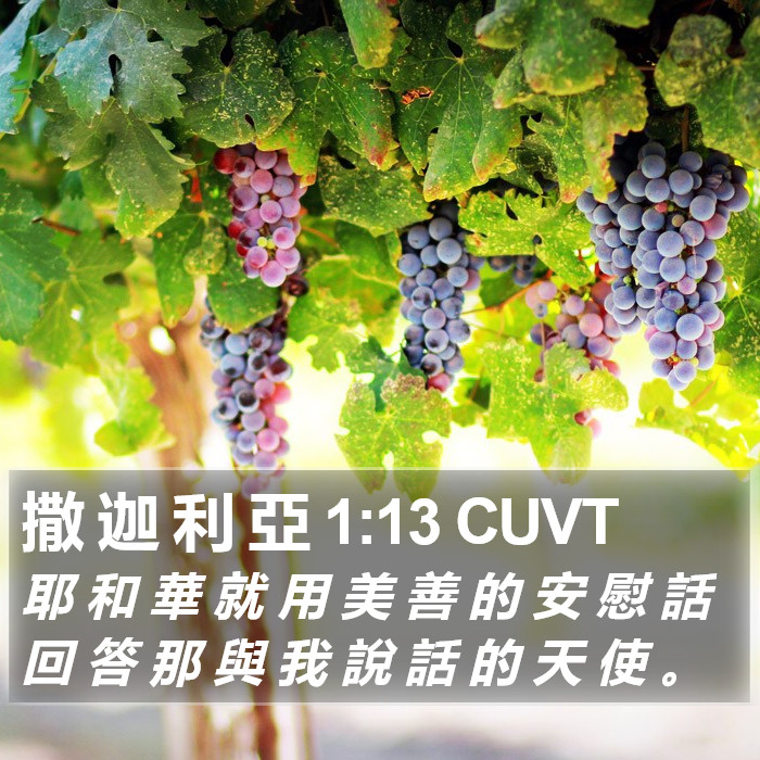 撒 迦 利 亞 1:13 CUVT Bible Study