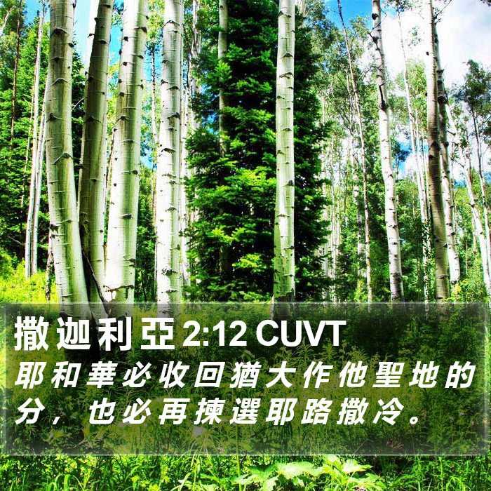 撒 迦 利 亞 2:12 CUVT Bible Study