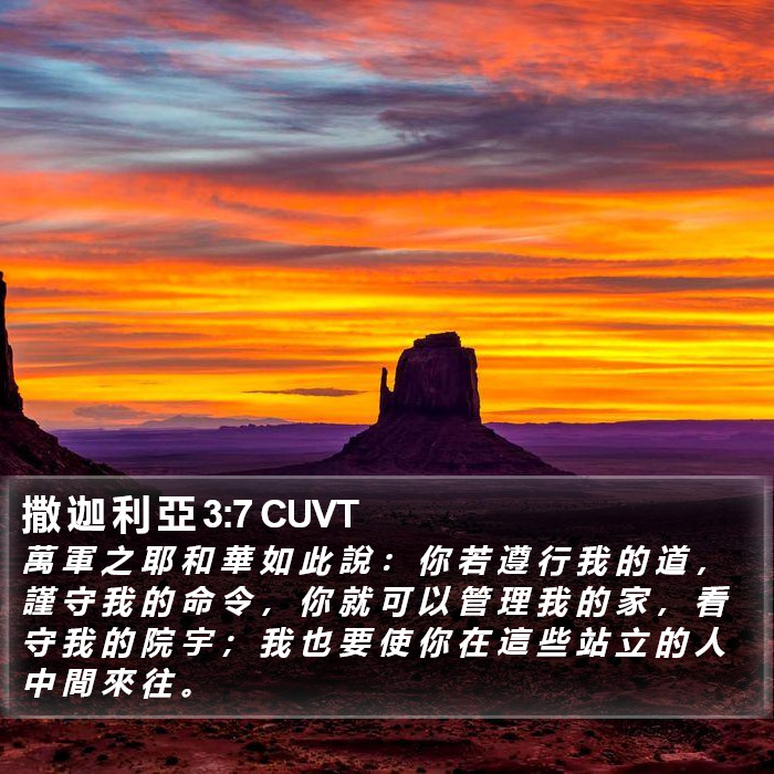 撒 迦 利 亞 3:7 CUVT Bible Study