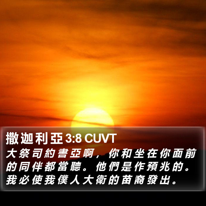 撒 迦 利 亞 3:8 CUVT Bible Study