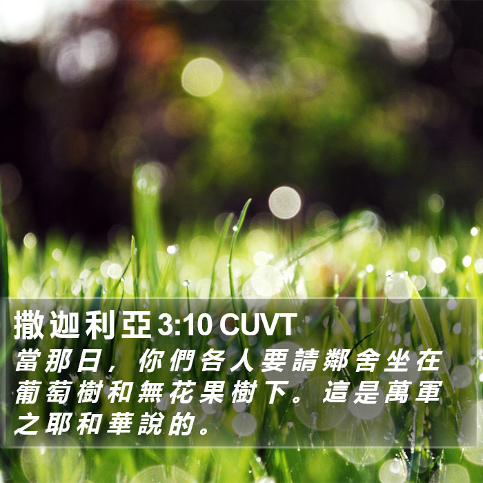 撒 迦 利 亞 3:10 CUVT Bible Study