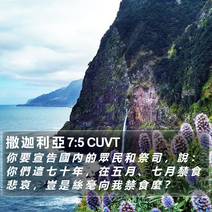 撒 迦 利 亞 7:5 CUVT Bible Study