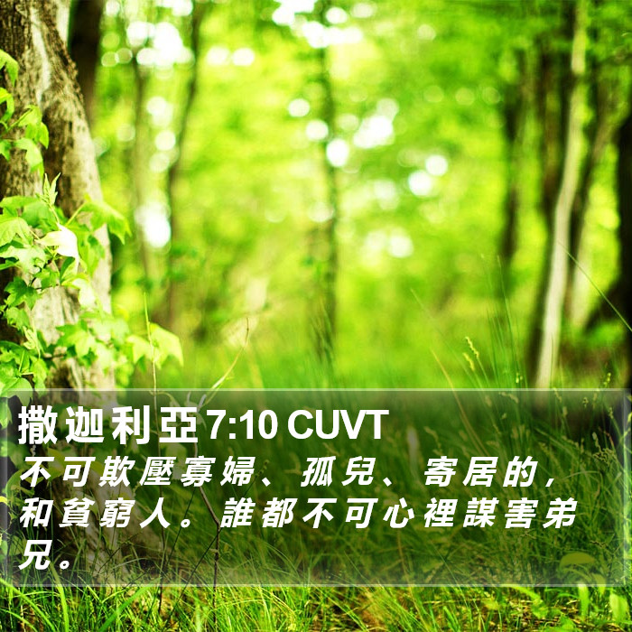 撒 迦 利 亞 7:10 CUVT Bible Study