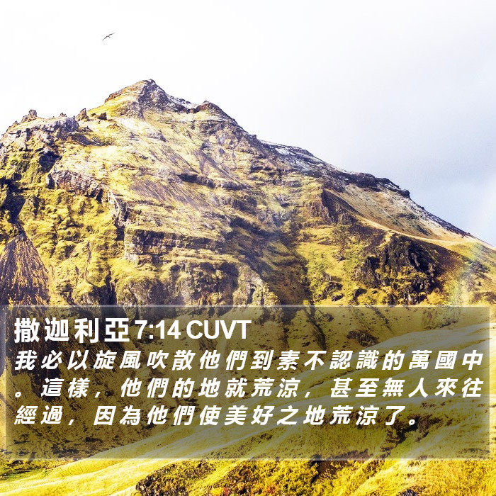 撒 迦 利 亞 7:14 CUVT Bible Study