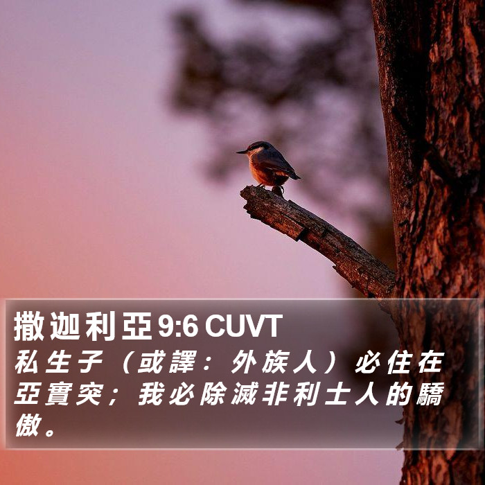 撒 迦 利 亞 9:6 CUVT Bible Study