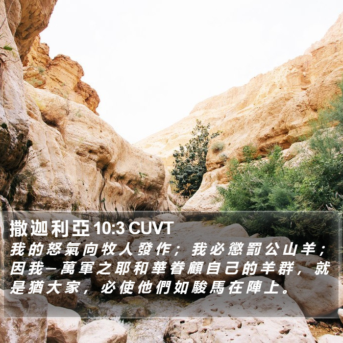 撒 迦 利 亞 10:3 CUVT Bible Study