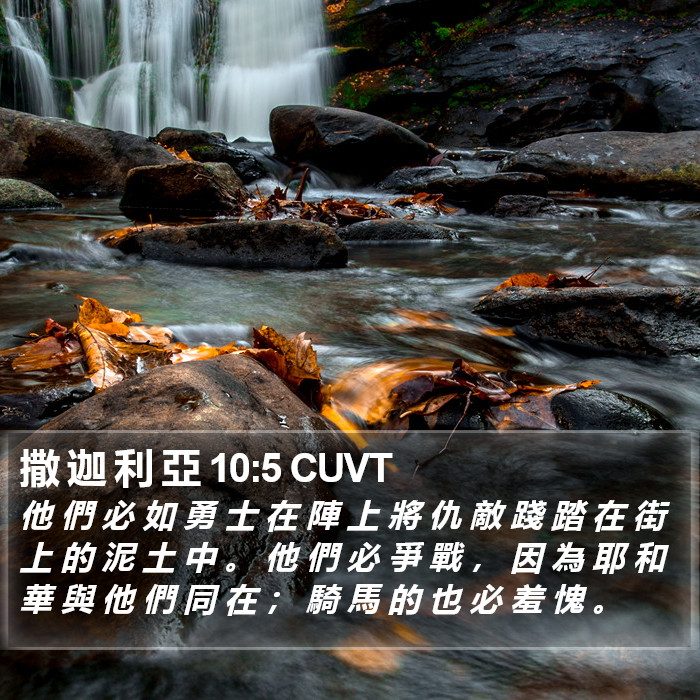 撒 迦 利 亞 10:5 CUVT Bible Study