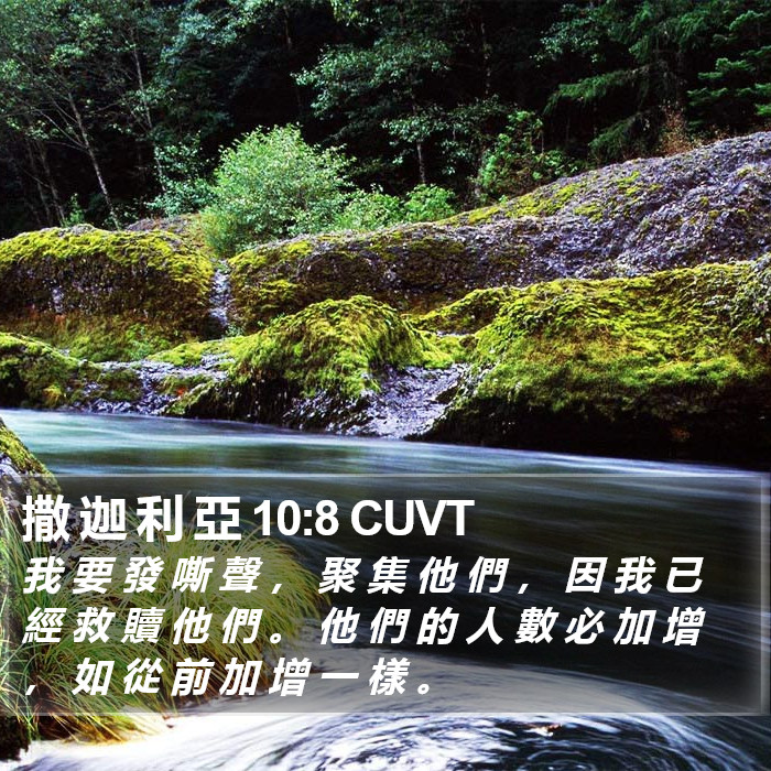 撒 迦 利 亞 10:8 CUVT Bible Study