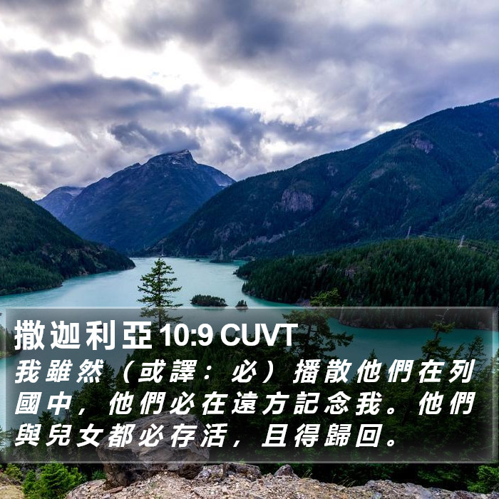 撒 迦 利 亞 10:9 CUVT Bible Study