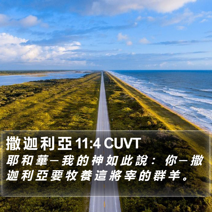 撒 迦 利 亞 11:4 CUVT Bible Study