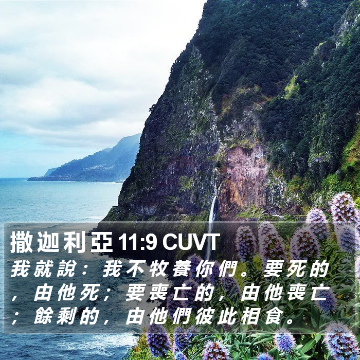 撒 迦 利 亞 11:9 CUVT Bible Study