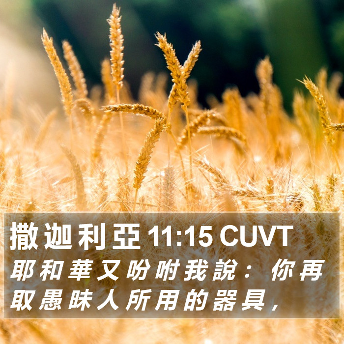 撒 迦 利 亞 11:15 CUVT Bible Study