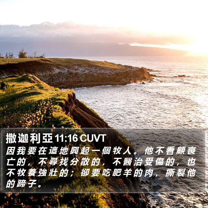 撒 迦 利 亞 11:16 CUVT Bible Study
