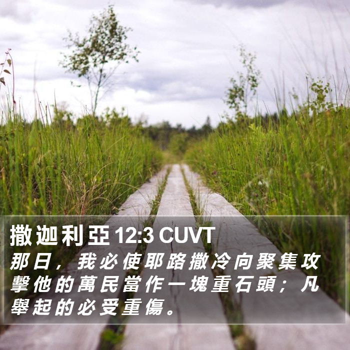 撒 迦 利 亞 12:3 CUVT Bible Study