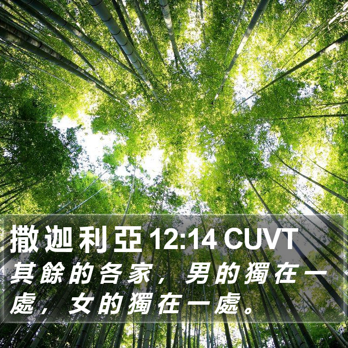 撒 迦 利 亞 12:14 CUVT Bible Study