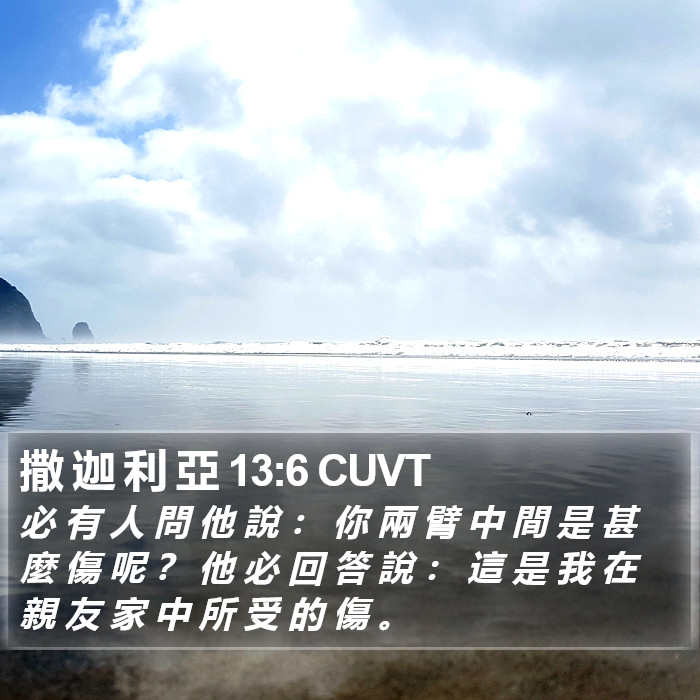 撒 迦 利 亞 13:6 CUVT Bible Study