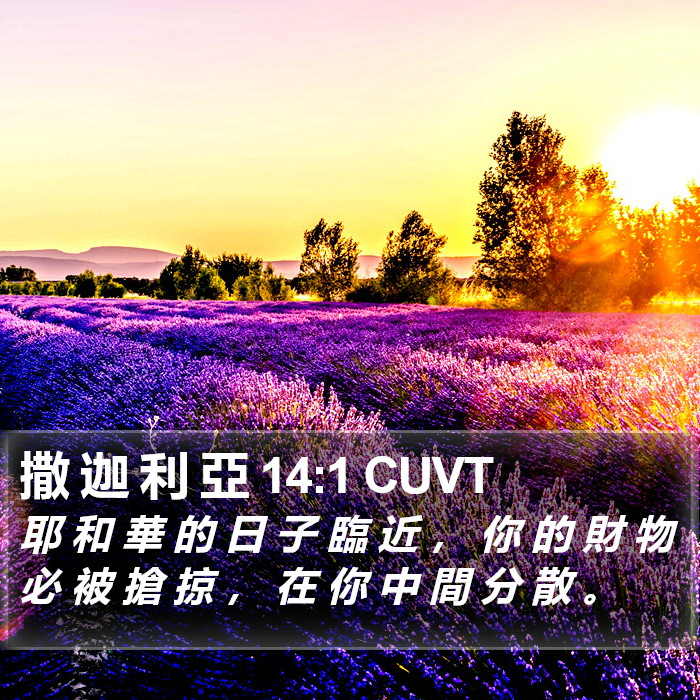 撒 迦 利 亞 14:1 CUVT Bible Study