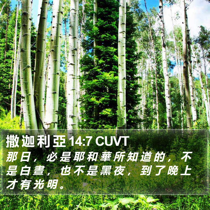 撒 迦 利 亞 14:7 CUVT Bible Study