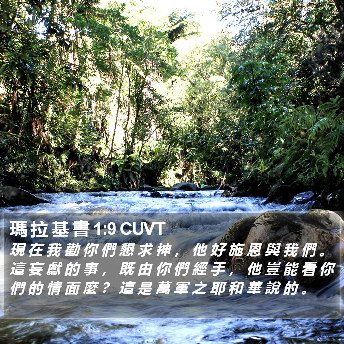 瑪 拉 基 書 1:9 CUVT Bible Study