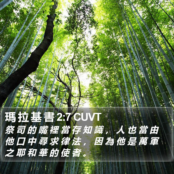 瑪 拉 基 書 2:7 CUVT Bible Study