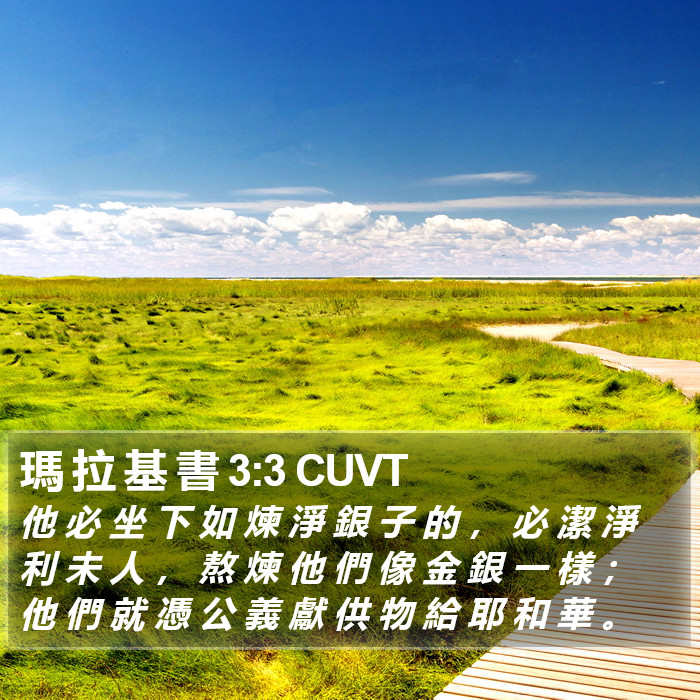 瑪 拉 基 書 3:3 CUVT Bible Study