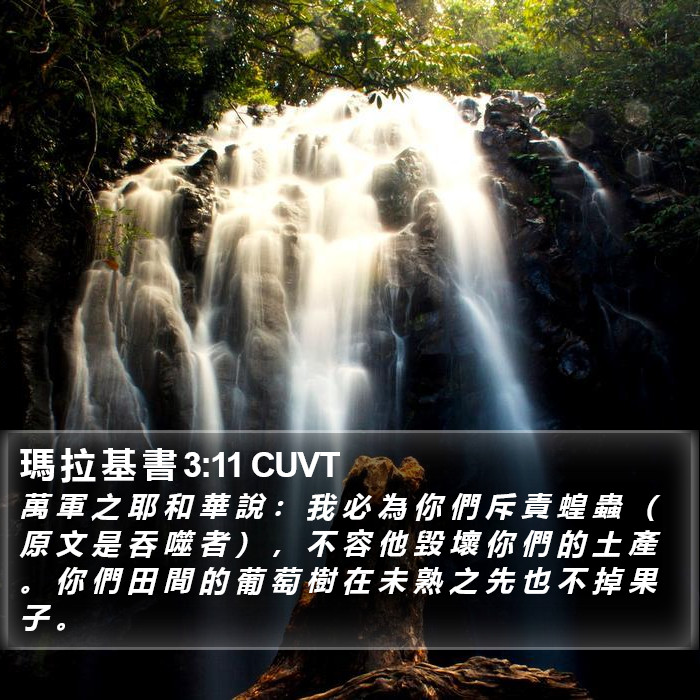 瑪 拉 基 書 3:11 CUVT Bible Study