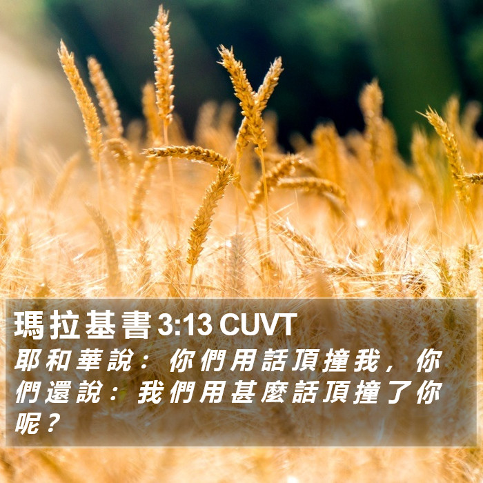 瑪 拉 基 書 3:13 CUVT Bible Study
