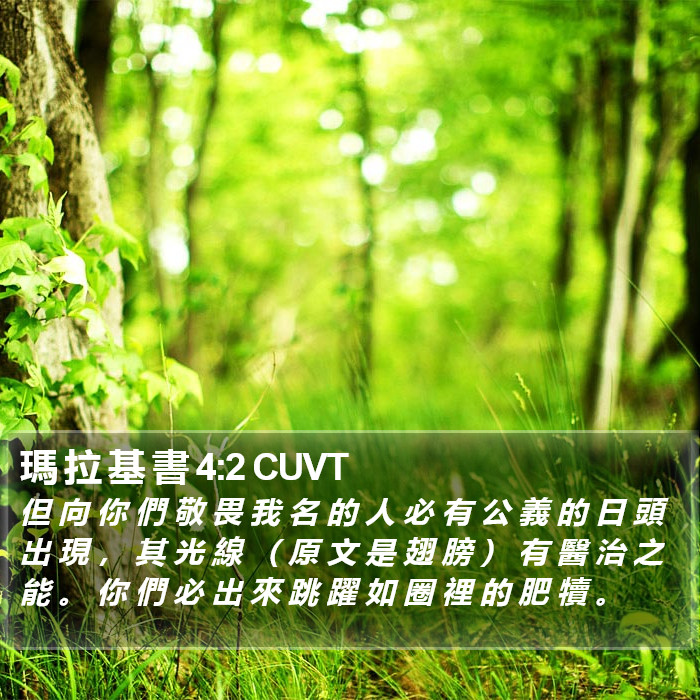 瑪 拉 基 書 4:2 CUVT Bible Study