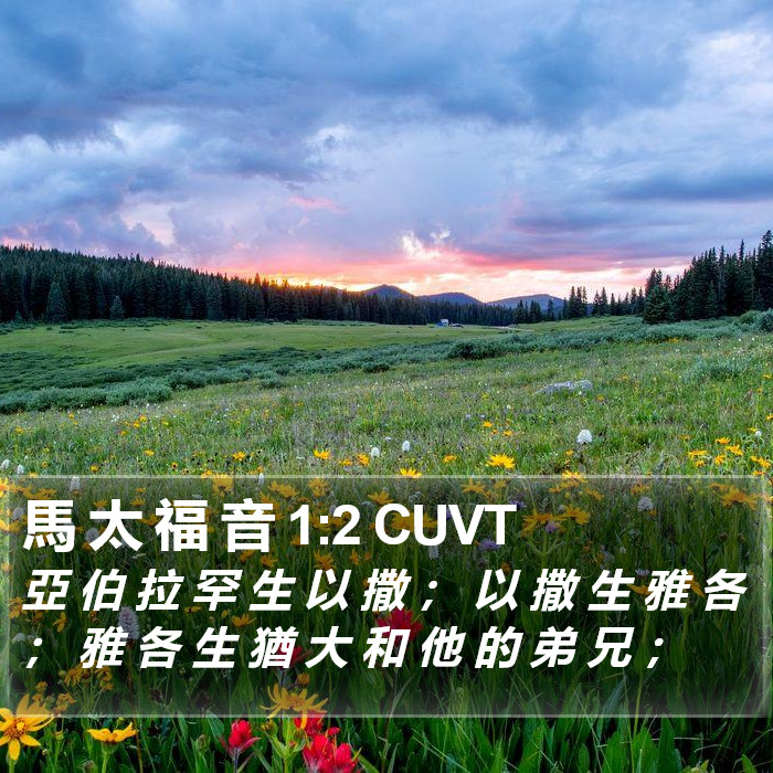 馬 太 福 音 1:2 CUVT Bible Study