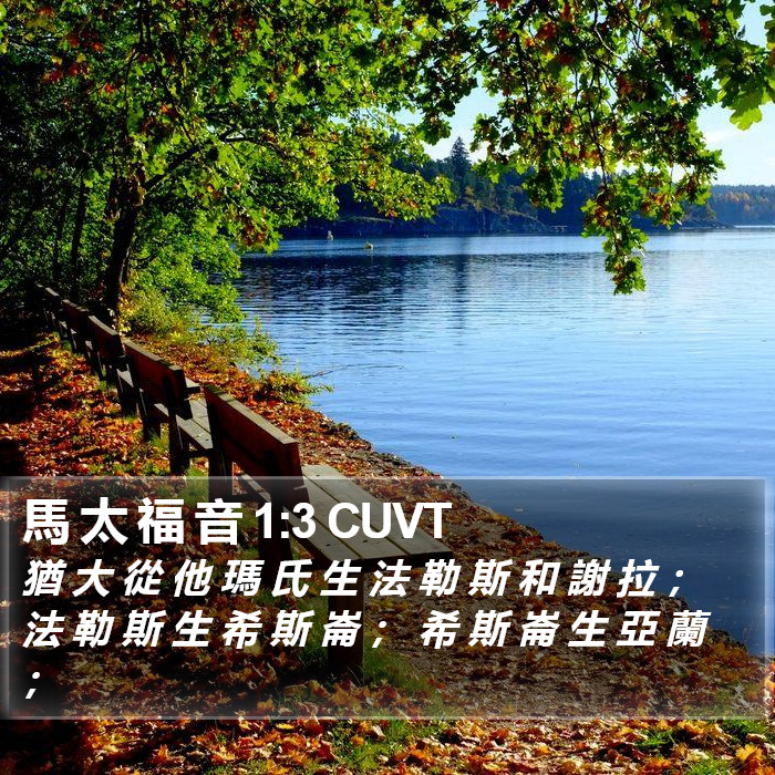 馬 太 福 音 1:3 CUVT Bible Study