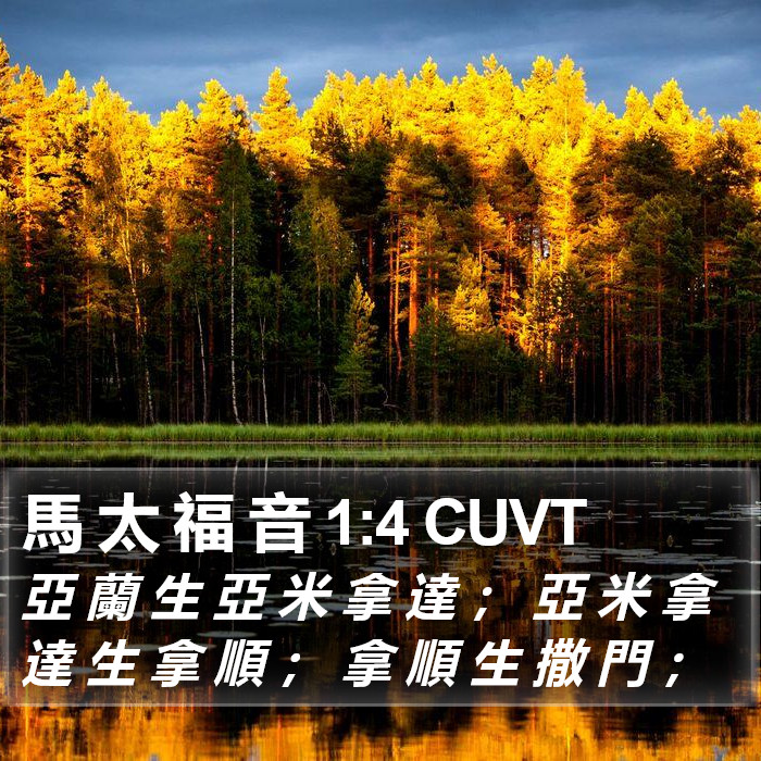 馬 太 福 音 1:4 CUVT Bible Study