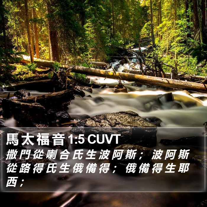 馬 太 福 音 1:5 CUVT Bible Study