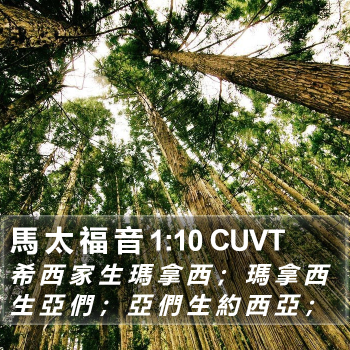 馬 太 福 音 1:10 CUVT Bible Study