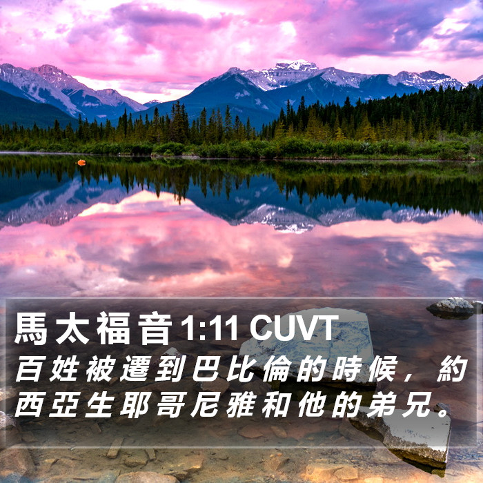 馬 太 福 音 1:11 CUVT Bible Study