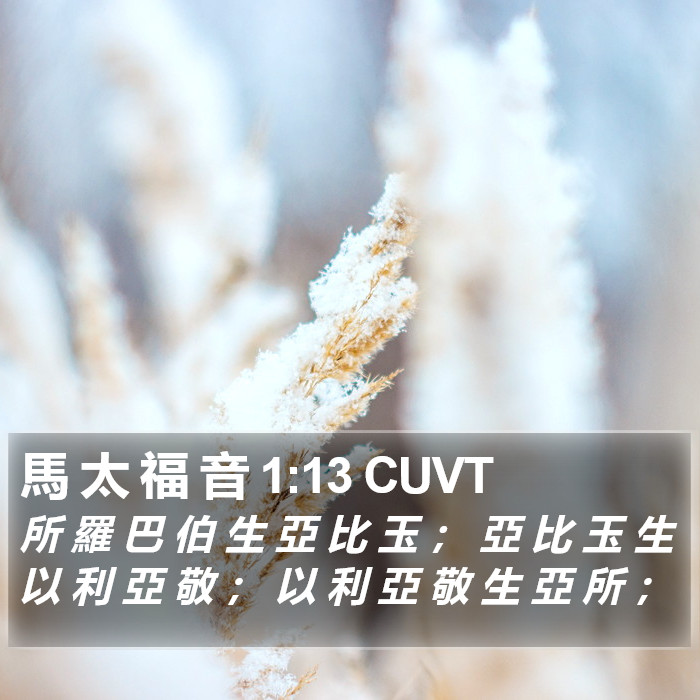 馬 太 福 音 1:13 CUVT Bible Study