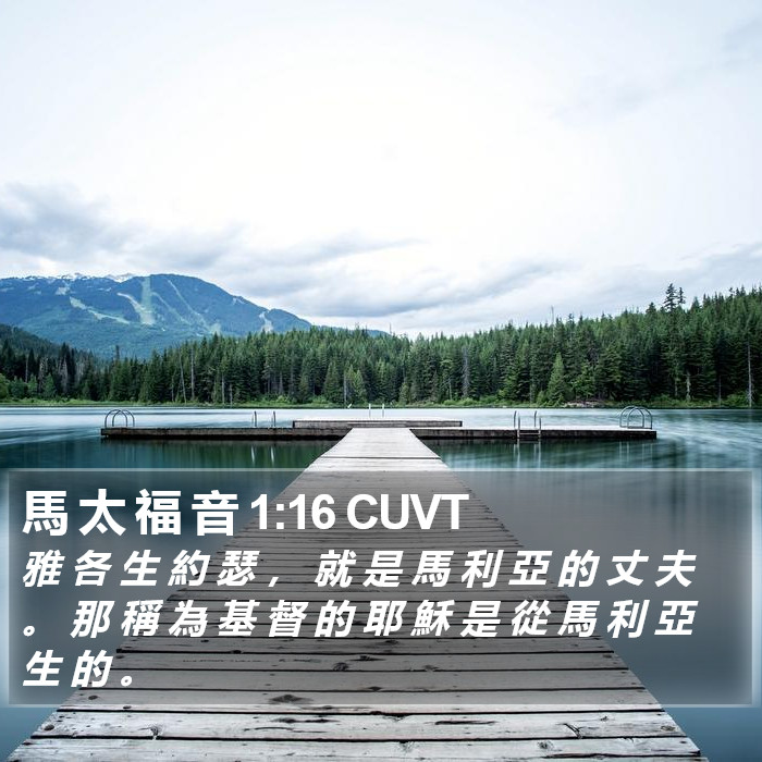 馬 太 福 音 1:16 CUVT Bible Study