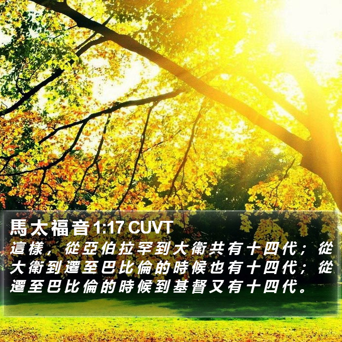 馬 太 福 音 1:17 CUVT Bible Study