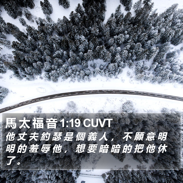 馬 太 福 音 1:19 CUVT Bible Study