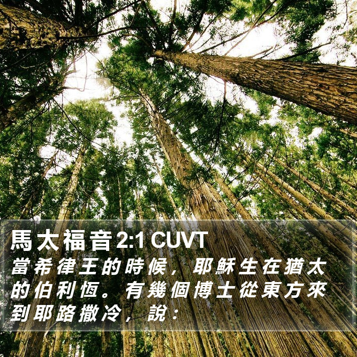 馬 太 福 音 2:1 CUVT Bible Study