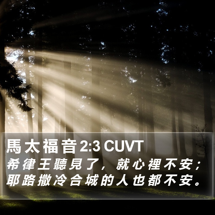 馬 太 福 音 2:3 CUVT Bible Study