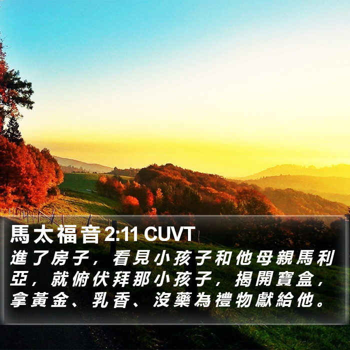 馬 太 福 音 2:11 CUVT Bible Study